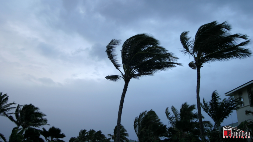 weather in florida