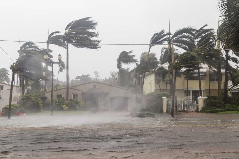 types of winds