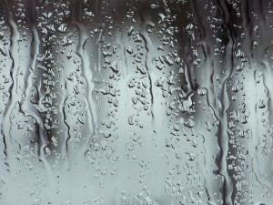 Hurricane-Resistant Windows